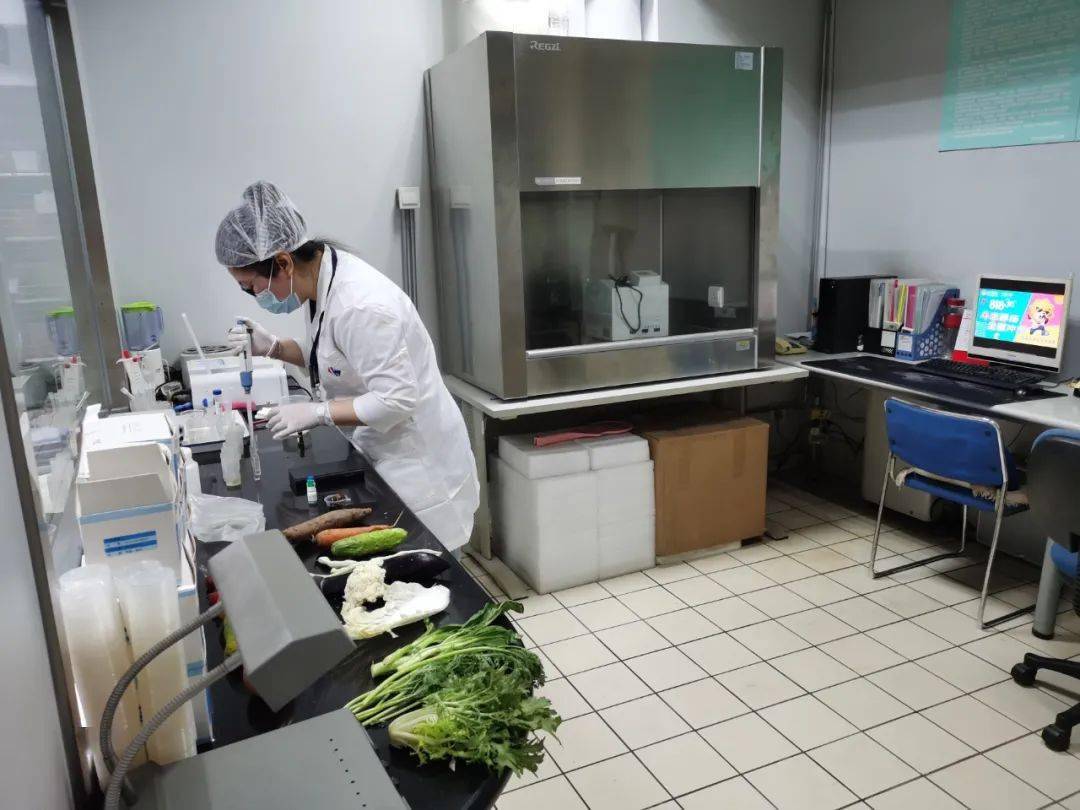 丹凤食品检测实验室装修方案